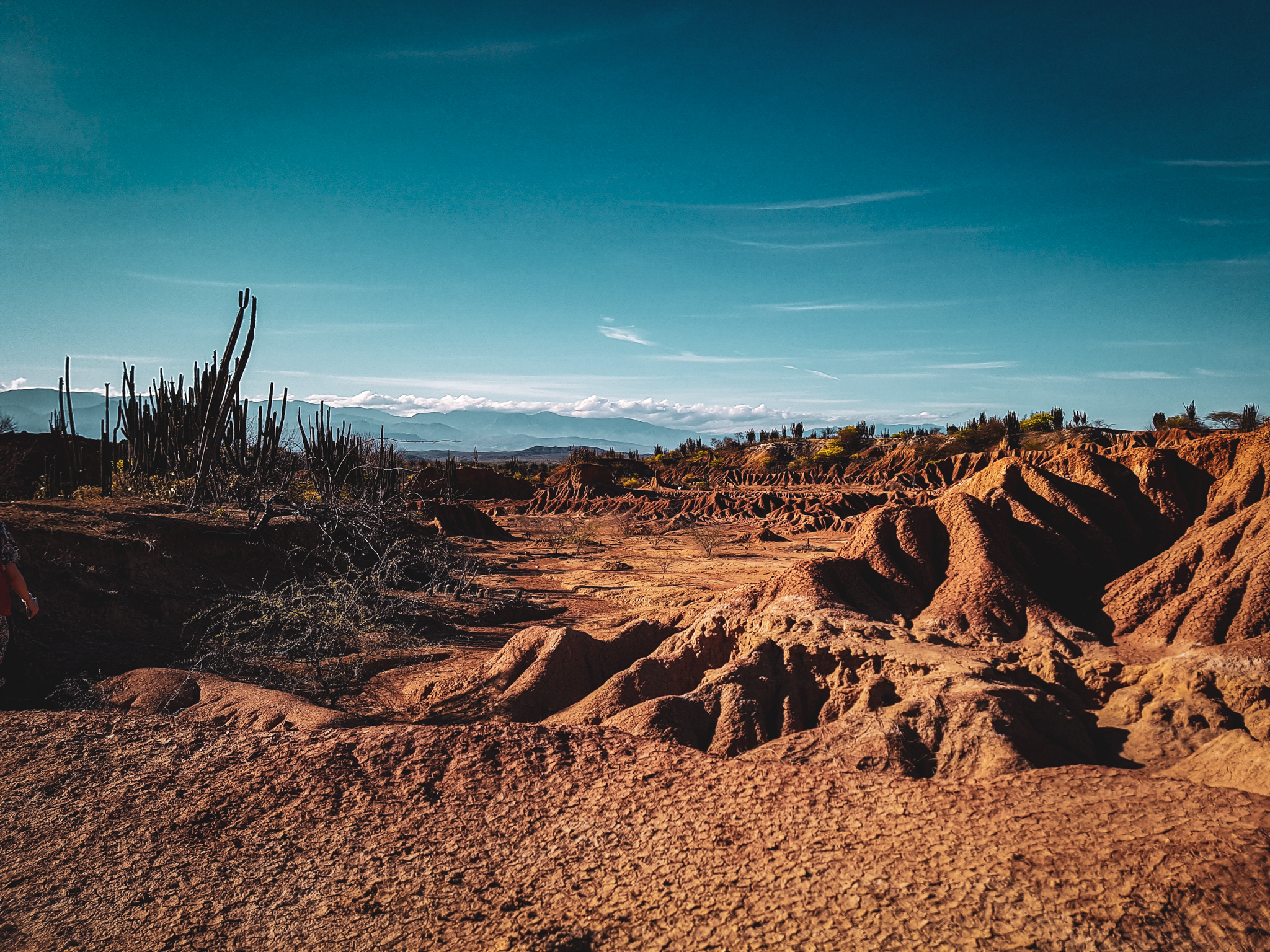 Tag5_080919_DesiertoTatacoa10_2
