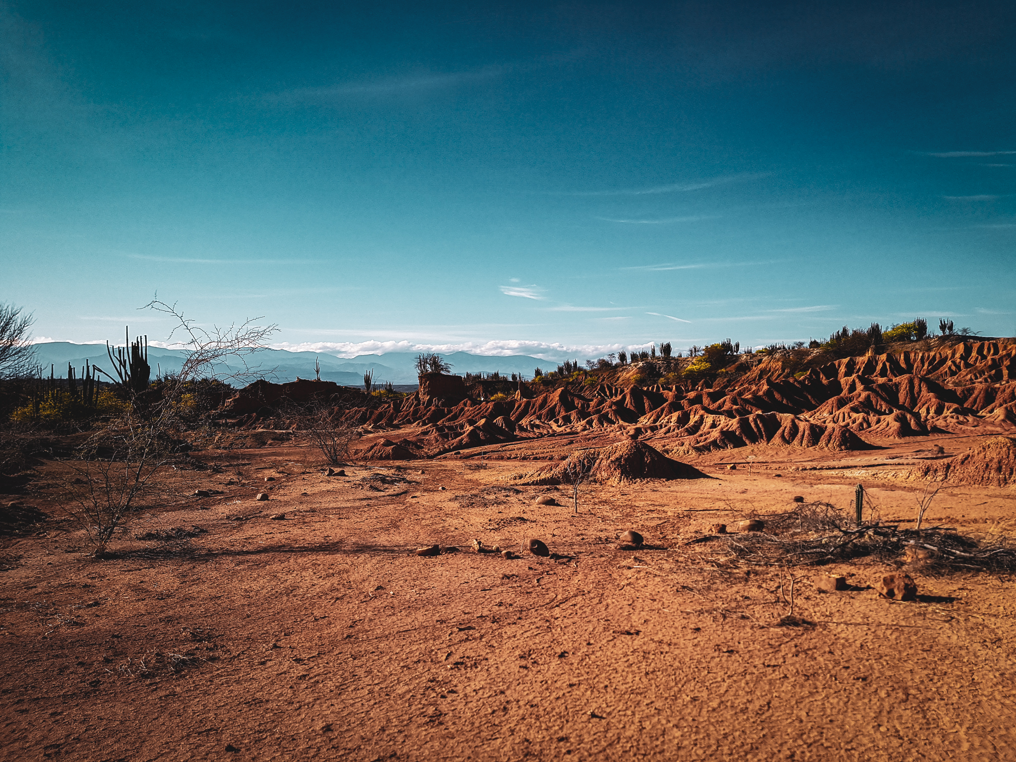Tag5_080919_DesiertoTatacoa11_1