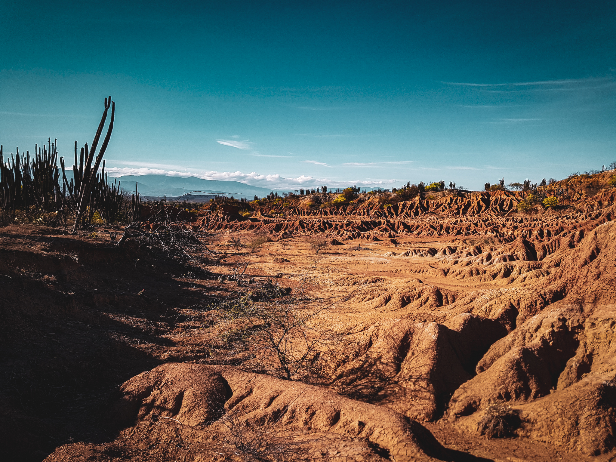 Tag5_080919_DesiertoTatacoa12_2