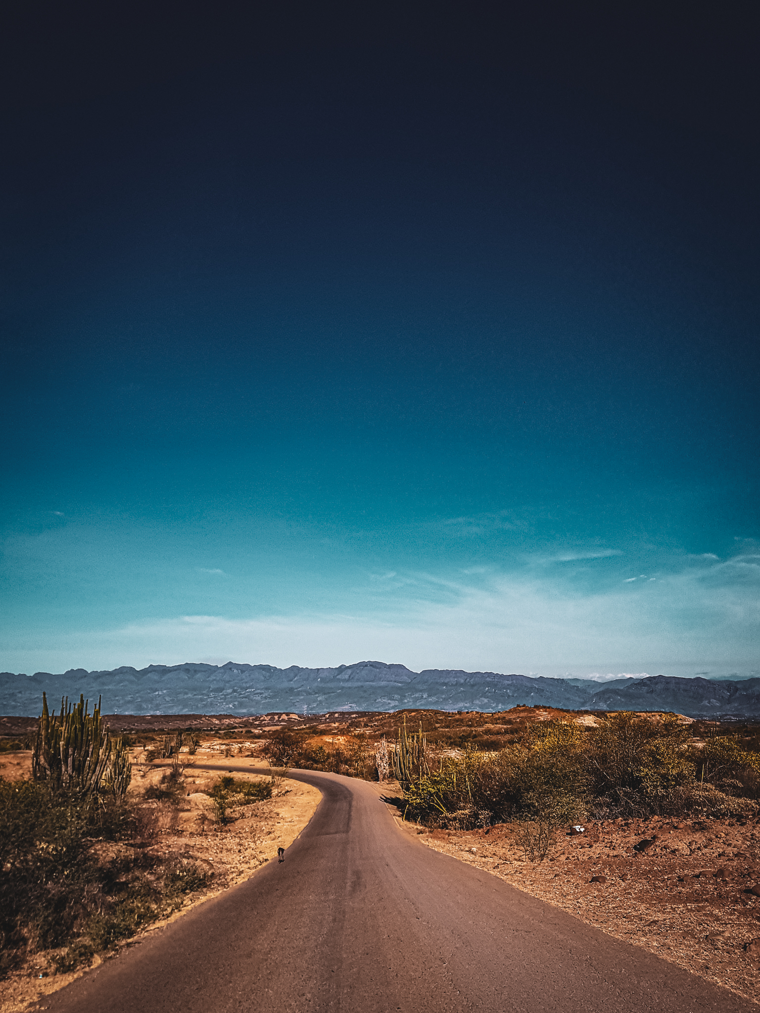Tag5_080919_DesiertoTatacoa7_2